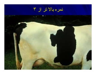 ‫از‬ ‫ﺕﺮ‬ ‫ﺑﺎﻻ‬ ‫ﻥﻤﺮﻩ‬‫از‬ ‫ﺕﺮ‬ ‫ﺑﺎﻻ‬ ‫ﻥﻤﺮﻩ‬٣٣
 