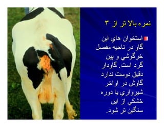 ‫اﻳﻦ‬ ‫هﺎي‬ ‫اﺳﺘﺨﻮان‬‫اﻳﻦ‬ ‫هﺎي‬ ‫اﺳﺘﺨﻮان‬
‫ﻣﻔﺼﻞ‬ ‫ﻥﺎﺣﻴﻪ‬ ‫در‬ ‫ﮔﺎو‬‫ﻣﻔﺼﻞ‬ ‫ﻥﺎﺣﻴﻪ‬ ‫در‬ ‫ﮔﺎو‬
‫ﭘﻴﻦ‬ ‫و‬ ‫ﺧﺮﮔﻮﺷﻲ‬‫ﭘﻴﻦ‬ ‫و‬ ‫ﺧﺮﮔﻮﺷﻲ‬
‫اﺳﺖ‬ ‫ﮔﺮد‬‫اﺳﺖ‬ ‫ﮔﺮد‬..‫ﮔﺎودار‬‫ﮔﺎودار‬
‫دﻗﻴﻖ‬‫دﻗﻴﻖ‬‫ﻥﺪارد‬ ‫دوﺳﺖ‬‫ﻥﺪارد‬ ‫دوﺳﺖ‬
‫اواﺧﺮ‬ ‫در‬ ‫ﮔﺎوش‬‫اواﺧﺮ‬ ‫در‬ ‫ﮔﺎوش‬
‫دورﻩ‬ ‫ﻳﺎ‬ ‫ﺷﻴﺮواري‬‫دورﻩ‬ ‫ﻳﺎ‬ ‫ﺷﻴﺮواري‬
‫اﻳﻦ‬ ‫از‬ ‫ﺧﺸﻜﻲ‬‫اﻳﻦ‬ ‫از‬ ‫ﺧﺸﻜﻲ‬
‫ﺷﻮد‬ ‫ﺕﺮ‬ ‫ﺳﻨﮕﻴﻦ‬‫ﺷﻮد‬ ‫ﺕﺮ‬ ‫ﺳﻨﮕﻴﻦ‬..
‫از‬ ‫ﺕﺮ‬ ‫ﺑﺎﻻ‬ ‫ﻥﻤﺮﻩ‬‫از‬ ‫ﺕﺮ‬ ‫ﺑﺎﻻ‬ ‫ﻥﻤﺮﻩ‬٣٣
 