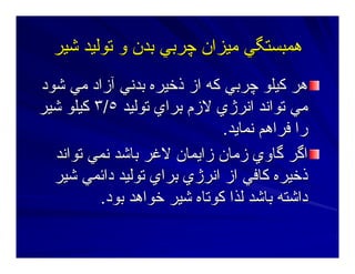 ‫ﺷﻴﺮ‬ ‫ﺕﻮﻟﻴﺪ‬ ‫و‬ ‫ﺑﺪن‬ ‫ﭼﺮﺑﻲ‬ ‫ﻣﻴﺰان‬ ‫هﻤﺒﺴﺘﮕﻲ‬‫ﺷﻴﺮ‬ ‫ﺕﻮﻟﻴﺪ‬ ‫و‬ ‫ﺑﺪن‬ ‫ﭼﺮﺑﻲ‬ ‫ﻣﻴﺰان‬ ‫هﻤﺒﺴﺘﮕﻲ‬
‫ﺷﻮد‬ ‫ﻣﻲ‬ ‫ﺁزاد‬ ‫ﺑﺪﻥﻲ‬ ‫ذﺧﻴﺮﻩ‬ ‫از‬ ‫آﻪ‬ ‫ﭼﺮﺑﻲ‬ ‫آﻴﻠﻮ‬ ‫هﺮ‬‫ﺷﻮد‬ ‫ﻣﻲ‬ ‫ﺁزاد‬ ‫ﺑﺪﻥﻲ‬ ‫ذﺧﻴﺮﻩ‬ ‫از‬ ‫آﻪ‬ ‫ﭼﺮﺑﻲ‬ ‫آﻴﻠﻮ‬ ‫هﺮ‬
‫ﺕﻮﻟﻴﺪ‬ ‫ﺑﺮاي‬ ‫ﻻزم‬ ‫اﻥﺮژي‬ ‫ﺕﻮاﻥﺪ‬ ‫ﻣﻲ‬‫ﺕﻮﻟﻴﺪ‬ ‫ﺑﺮاي‬ ‫ﻻزم‬ ‫اﻥﺮژي‬ ‫ﺕﻮاﻥﺪ‬ ‫ﻣﻲ‬٥٥//٣٣‫ﺷﻴﺮ‬ ‫آﻴﻠﻮ‬‫ﺷﻴﺮ‬ ‫آﻴﻠﻮ‬
‫ﻥﻤﺎﻳﺪ‬ ‫ﻓﺮاهﻢ‬ ‫را‬‫ﻥﻤﺎﻳﺪ‬ ‫ﻓﺮاهﻢ‬ ‫را‬..
‫ﺕﻮاﻥﺪ‬ ‫ﻥﻤﻲ‬ ‫ﺑﺎﺷﺪ‬ ‫ﻻﻏﺮ‬ ‫زاﻳﻤﺎن‬ ‫زﻣﺎن‬ ‫ﮔﺎوي‬ ‫اﮔﺮ‬‫ﺕﻮاﻥﺪ‬ ‫ﻥﻤﻲ‬ ‫ﺑﺎﺷﺪ‬ ‫ﻻﻏﺮ‬ ‫زاﻳﻤﺎن‬ ‫زﻣﺎن‬ ‫ﮔﺎوي‬ ‫اﮔﺮ‬
‫ﺷﻴﺮ‬ ‫داﺋﻤﻲ‬ ‫ﺕﻮﻟﻴﺪ‬ ‫ﺑﺮاي‬ ‫اﻥﺮژي‬ ‫از‬ ‫آﺎﻓﻲ‬ ‫ذﺧﻴﺮﻩ‬‫ﺷﻴﺮ‬ ‫داﺋﻤﻲ‬ ‫ﺕﻮﻟﻴﺪ‬ ‫ﺑﺮاي‬ ‫اﻥﺮژي‬ ‫از‬ ‫آﺎﻓﻲ‬ ‫ذﺧﻴﺮﻩ‬
‫ﺑﻮد‬ ‫ﺧﻮاهﺪ‬ ‫ﺷﻴﺮ‬ ‫آﻮﺕﺎﻩ‬ ‫ﻟﺬا‬ ‫ﺑﺎﺷﺪ‬ ‫داﺷﺘﻪ‬‫ﺑﻮد‬ ‫ﺧﻮاهﺪ‬ ‫ﺷﻴﺮ‬ ‫آﻮﺕﺎﻩ‬ ‫ﻟﺬا‬ ‫ﺑﺎﺷﺪ‬ ‫داﺷﺘﻪ‬..
 