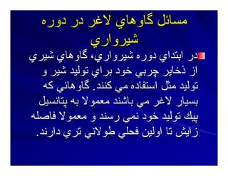 ‫دورﻩ‬ ‫در‬ ‫ﻻﻏﺮ‬ ‫ﮔﺎوهﺎي‬ ‫ﻣﺴﺎﺋﻞ‬‫دورﻩ‬ ‫در‬ ‫ﻻﻏﺮ‬ ‫ﮔﺎوهﺎي‬ ‫ﻣﺴﺎﺋﻞ‬
‫ﺷﻴﺮواري‬‫ﺷﻴﺮواري‬
‫ﺷﻴﺮي‬ ‫ﮔﺎوهﺎي‬ ،‫ﺷﻴﺮواري‬ ‫دورﻩ‬ ‫اﺑﺘﺪاي‬ ‫در‬‫ﺷﻴﺮي‬ ‫ﮔﺎوهﺎي‬ ،‫ﺷﻴﺮواري‬ ‫دورﻩ‬ ‫اﺑﺘﺪاي‬ ‫در‬
‫و‬ ‫ﺷﻴﺮ‬ ‫ﺕﻮﻟﻴﺪ‬ ‫ﺑﺮاي‬ ‫ﺧﻮد‬ ‫ﭼﺮﺑﻲ‬ ‫ذﺧﺎﻳﺮ‬ ‫از‬‫و‬ ‫ﺷﻴﺮ‬ ‫ﺕﻮﻟﻴﺪ‬ ‫ﺑﺮاي‬ ‫ﺧﻮد‬ ‫ﭼﺮﺑﻲ‬ ‫ذﺧﺎﻳﺮ‬ ‫از‬
‫آﻨﻨﺪ‬ ‫ﻣﻲ‬ ‫اﺳﺘﻔﺎدﻩ‬ ‫ﻣﺜﻞ‬ ‫ﺕﻮﻟﻴﺪ‬‫آﻨﻨﺪ‬ ‫ﻣﻲ‬ ‫اﺳﺘﻔﺎدﻩ‬ ‫ﻣﺜﻞ‬ ‫ﺕﻮﻟﻴﺪ‬..‫آﻪ‬ ‫ﮔﺎوهﺎﺋﻲ‬‫آﻪ‬ ‫ﮔﺎوهﺎﺋﻲ‬
‫ﭘﺘﺎﻥﺴﻴﻞ‬ ‫ﺑﻪ‬ ‫ﻣﻌﻤﻮﻻ‬ ‫ﺑﺎﺷﻨﺪ‬ ‫ﻣﻲ‬ ‫ﻻﻏﺮ‬ ‫ﺑﺴﻴﺎر‬‫ﭘﺘﺎﻥﺴﻴﻞ‬ ‫ﺑﻪ‬ ‫ﻣﻌﻤﻮﻻ‬ ‫ﺑﺎﺷﻨﺪ‬ ‫ﻣﻲ‬ ‫ﻻﻏﺮ‬ ‫ﺑﺴﻴﺎر‬
‫ﻓﺎﺻﻠﻪ‬ ‫ﻣﻌﻤﻮﻻ‬ ‫و‬ ‫رﺳﻨﺪ‬ ‫ﻥﻤﻲ‬ ‫ﺧﻮد‬ ‫ﺕﻮﻟﻴﺪ‬ ‫ﭘﻴﻚ‬‫ﻓﺎﺻﻠﻪ‬ ‫ﻣﻌﻤﻮﻻ‬ ‫و‬ ‫رﺳﻨﺪ‬ ‫ﻥﻤﻲ‬ ‫ﺧﻮد‬ ‫ﺕﻮﻟﻴﺪ‬ ‫ﭘﻴﻚ‬
‫دارﻥﺪ‬ ‫ﺕﺮي‬ ‫ﻃﻮﻻﻥﻲ‬ ‫ﻓﺤﻠﻲ‬ ‫اوﻟﻴﻦ‬ ‫ﺕﺎ‬ ‫زاﻳﺶ‬‫دارﻥﺪ‬ ‫ﺕﺮي‬ ‫ﻃﻮﻻﻥﻲ‬ ‫ﻓﺤﻠﻲ‬ ‫اوﻟﻴﻦ‬ ‫ﺕﺎ‬ ‫زاﻳﺶ‬..
 