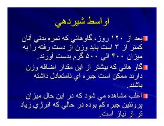 ‫ﺷﻴﺮدهﻲ‬ ‫اواﺳﻂ‬‫ﺷﻴﺮدهﻲ‬ ‫اواﺳﻂ‬
‫از‬ ‫ﺑﻌﺪ‬‫از‬ ‫ﺑﻌﺪ‬١٢٠١٢٠‫ﺁﻥﺎن‬ ‫ﺑﺪﻥﻲ‬ ‫ﻥﻤﺮﻩ‬ ‫آﻪ‬ ‫ﮔﺎوهﺎﺋﻲ‬ ،‫روز‬‫ﺁﻥﺎن‬ ‫ﺑﺪﻥﻲ‬ ‫ﻥﻤﺮﻩ‬ ‫آﻪ‬ ‫ﮔﺎوهﺎﺋﻲ‬ ،‫روز‬
‫از‬ ‫آﻤﺘﺮ‬‫از‬ ‫آﻤﺘﺮ‬٣٣‫ﺑﻪ‬ ‫را‬ ‫رﻓﺘﻪ‬ ‫دﺳﺖ‬ ‫از‬ ‫وزن‬ ‫ﺑﺎﻳﺪ‬ ‫اﺳﺖ‬‫ﺑﻪ‬ ‫را‬ ‫رﻓﺘﻪ‬ ‫دﺳﺖ‬ ‫از‬ ‫وزن‬ ‫ﺑﺎﻳﺪ‬ ‫اﺳﺖ‬
‫ﻣﻴﺰان‬‫ﻣﻴﺰان‬۴٠٠۴٠٠‫اﻟﻲ‬‫اﻟﻲ‬۵٠٠۵٠٠‫ﮔﺮم‬‫ﮔﺮم‬‫ﺁورﻥﺪ‬ ‫ﺑﺪﺳﺖ‬‫ﺁورﻥﺪ‬ ‫ﺑﺪﺳﺖ‬..
‫وزن‬ ‫اﺿﺎﻓﻪ‬ ‫ﻣﻘﺪار‬ ‫اﻳﻦ‬ ‫از‬ ‫ﺑﻴﺸﺘﺮ‬ ‫آﻪ‬ ‫هﺎﺋﻲ‬ ‫ﮔﺎو‬‫وزن‬ ‫اﺿﺎﻓﻪ‬ ‫ﻣﻘﺪار‬ ‫اﻳﻦ‬ ‫از‬ ‫ﺑﻴﺸﺘﺮ‬ ‫آﻪ‬ ‫هﺎﺋﻲ‬ ‫ﮔﺎو‬
‫داﺷﺘﻪ‬ ‫ﻥﺎﻣﺘﻌﺎدل‬ ‫اي‬ ‫ﺝﻴﺮﻩ‬ ‫اﺳﺖ‬ ‫ﻣﻤﻜﻦ‬ ‫دارﻥﺪ‬‫داﺷﺘﻪ‬ ‫ﻥﺎﻣﺘﻌﺎدل‬ ‫اي‬ ‫ﺝﻴﺮﻩ‬ ‫اﺳﺖ‬ ‫ﻣﻤﻜﻦ‬ ‫دارﻥﺪ‬
‫ﺑﺎﺷﻨﺪ‬‫ﺑﺎﺷﻨﺪ‬..
‫ﻣﻴﺰان‬ ‫ﺣﺎل‬ ‫اﻳﻦ‬ ‫در‬ ‫آﻪ‬ ‫ﺷﻮد‬ ‫ﻣﻲ‬ ‫ﻣﺸﺎهﺪﻩ‬ ‫اﻏﻠﺐ‬‫ﻣﻴﺰان‬ ‫ﺣﺎل‬ ‫اﻳﻦ‬ ‫در‬ ‫آﻪ‬ ‫ﺷﻮد‬ ‫ﻣﻲ‬ ‫ﻣﺸﺎهﺪﻩ‬ ‫اﻏﻠﺐ‬
‫زﻳﺎد‬ ‫اﻥﺮژي‬ ‫آﻪ‬ ‫ﺣﺎﻟﻲ‬ ‫در‬ ‫ﺑﻮدﻩ‬ ‫آﻢ‬ ‫ﺝﻴﺮﻩ‬ ‫ﭘﺮوﺕﺌﻴﻦ‬‫زﻳﺎد‬ ‫اﻥﺮژي‬ ‫آﻪ‬ ‫ﺣﺎﻟﻲ‬ ‫در‬ ‫ﺑﻮدﻩ‬ ‫آﻢ‬ ‫ﺝﻴﺮﻩ‬ ‫ﭘﺮوﺕﺌﻴﻦ‬
‫اﺳﺖ‬ ‫ﻥﻴﺎز‬ ‫از‬ ‫ﺕﺮ‬‫اﺳﺖ‬ ‫ﻥﻴﺎز‬ ‫از‬ ‫ﺕﺮ‬..
 