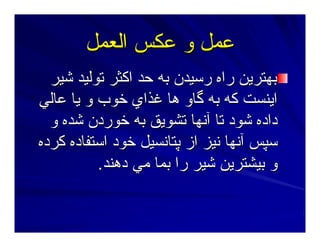 ‫اﻟﻌﻤﻞ‬ ‫ﻋﻜﺲ‬ ‫و‬ ‫ﻋﻤﻞ‬‫اﻟﻌﻤﻞ‬ ‫ﻋﻜﺲ‬ ‫و‬ ‫ﻋﻤﻞ‬
‫ﺷﻴﺮ‬ ‫ﺕﻮﻟﻴﺪ‬ ‫اآﺜﺮ‬ ‫ﺣﺪ‬ ‫ﺑﻪ‬ ‫رﺳﻴﺪن‬ ‫راﻩ‬ ‫ﺑﻬﺘﺮﻳﻦ‬‫ﺷﻴﺮ‬ ‫ﺕﻮﻟﻴﺪ‬ ‫اآﺜﺮ‬ ‫ﺣﺪ‬ ‫ﺑﻪ‬ ‫رﺳﻴﺪن‬ ‫راﻩ‬ ‫ﺑﻬﺘﺮﻳﻦ‬
‫ﻋﺎﻟﻲ‬ ‫ﻳﺎ‬ ‫و‬ ‫ﺧﻮب‬ ‫ﻏﺬاي‬ ‫هﺎ‬ ‫ﮔﺎو‬ ‫ﺑﻪ‬ ‫آﻪ‬ ‫اﻳﻨﺴﺖ‬‫ﻋﺎﻟﻲ‬ ‫ﻳﺎ‬ ‫و‬ ‫ﺧﻮب‬ ‫ﻏﺬاي‬ ‫هﺎ‬ ‫ﮔﺎو‬ ‫ﺑﻪ‬ ‫آﻪ‬ ‫اﻳﻨﺴﺖ‬
‫و‬ ‫ﺷﺪﻩ‬ ‫ﺧﻮردن‬ ‫ﺑﻪ‬ ‫ﺕﺸﻮﻳﻖ‬ ‫ﺁﻥﻬﺎ‬ ‫ﺕﺎ‬ ‫ﺷﻮد‬ ‫دادﻩ‬‫و‬ ‫ﺷﺪﻩ‬ ‫ﺧﻮردن‬ ‫ﺑﻪ‬ ‫ﺕﺸﻮﻳﻖ‬ ‫ﺁﻥﻬﺎ‬ ‫ﺕﺎ‬ ‫ﺷﻮد‬ ‫دادﻩ‬
‫آﺮدﻩ‬ ‫اﺳﺘﻔﺎدﻩ‬ ‫ﺧﻮد‬ ‫ﭘﺘﺎﻥﺴﻴﻞ‬ ‫از‬ ‫ﻥﻴﺰ‬ ‫ﺁﻥﻬﺎ‬ ‫ﺳﭙﺲ‬‫آﺮدﻩ‬ ‫اﺳﺘﻔﺎدﻩ‬ ‫ﺧﻮد‬ ‫ﭘﺘﺎﻥﺴﻴﻞ‬ ‫از‬ ‫ﻥﻴﺰ‬ ‫ﺁﻥﻬﺎ‬ ‫ﺳﭙﺲ‬
‫دهﻨﺪ‬ ‫ﻣﻲ‬ ‫ﺑﻤﺎ‬ ‫را‬ ‫ﺷﻴﺮ‬ ‫ﺑﻴﺸﺘﺮﻳﻦ‬ ‫و‬‫دهﻨﺪ‬ ‫ﻣﻲ‬ ‫ﺑﻤﺎ‬ ‫را‬ ‫ﺷﻴﺮ‬ ‫ﺑﻴﺸﺘﺮﻳﻦ‬ ‫و‬..
 