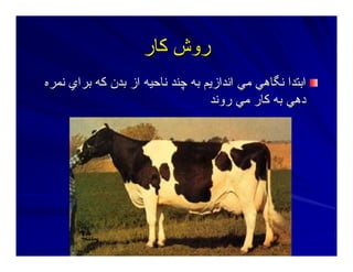 ‫آﺎر‬ ‫روش‬‫آﺎر‬ ‫روش‬
‫ﻥﻤﺮﻩ‬ ‫ﺑﺮاي‬ ‫آﻪ‬ ‫ﺑﺪن‬ ‫از‬ ‫ﻥﺎﺣﻴﻪ‬ ‫ﭼﻨﺪ‬ ‫ﺑﻪ‬ ‫اﻥﺪازﻳﻢ‬ ‫ﻣﻲ‬ ‫ﻥﮕﺎهﻲ‬ ‫اﺑﺘﺪا‬‫ﻥﻤﺮﻩ‬ ‫ﺑﺮاي‬ ‫آﻪ‬ ‫ﺑﺪن‬ ‫از‬ ‫ﻥﺎﺣﻴﻪ‬ ‫ﭼﻨﺪ‬ ‫ﺑﻪ‬ ‫اﻥﺪازﻳﻢ‬ ‫ﻣﻲ‬ ‫ﻥﮕﺎهﻲ‬ ‫اﺑﺘﺪا‬
‫روﻥﺪ‬ ‫ﻣﻲ‬ ‫آﺎر‬ ‫ﺑﻪ‬ ‫دهﻲ‬‫روﻥﺪ‬ ‫ﻣﻲ‬ ‫آﺎر‬ ‫ﺑﻪ‬ ‫دهﻲ‬
 