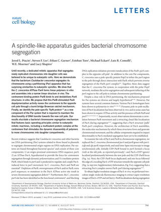 LETTERS
A spindle-like apparatus guides bacterial chromosome
segregation
Jerod L. Ptacin1
, Steven F. Lee2
, Ethan C. Garner3
, Esteban Toro1
, Michael Eckart4
, Luis R. Comolli5
,
W.E. Moerner2
and Lucy Shapiro1
Until recently, a dedicated mitotic apparatus that segregates
newly replicated chromosomes into daughter cells was
believed to be unique to eukaryotic cells. Here we demonstrate
that the bacterium Caulobacter crescentus segregates its
chromosome using a partitioning (Par) apparatus that has
surprising similarities to eukaryotic spindles. We show that
the C. crescentus ATPase ParA forms linear polymers in vitro
and assembles into a narrow linear structure in vivo. The
centromere-binding protein ParB binds to and destabilizes ParA
structures in vitro. We propose that this ParB-stimulated ParA
depolymerization activity moves the centromere to the opposite
cell pole through a burnt bridge Brownian ratchet mechanism.
Finally, we identify the pole-specific TipN protein1,2
as a new
component of the Par system that is required to maintain the
directionality of DNA transfer towards the new cell pole. Our
results elucidate a bacterial chromosome segregation mechanism
that features basic operating principles similar to eukaryotic
mitotic machines, including a multivalent protein complex at the
centromere that stimulates the dynamic disassembly of polymers
to move chromosomes into daughter compartments.
Recent evidence suggests that Caulobacter crescentus and other bacteria
use DNA partitioning (Par) systems related to those found in plasmids
to segregate chromosomal origin regions on DNA replication. Par sys-
tems are found throughout bacterial species3
and consist of three core
components: 1) an origin-proximal centromeric DNA sequence, parS;
2) an ATPase ParA, hypothesized to provide the force for centromere
segregation through dynamic polymerization; and 3) a mediator protein
ParB, which binds to parS and is predicted to regulate and couple ParA-
induced force to parS movement. In C. crescentus, ParA and ParB are
essential4
. Depletion of ParB, overexpression of ParA and/or ParB, extra
parS sequences, or mutations in the ParA ATPase active site result in
severechromosomesegregationdefects4–6
.Furthermore,theC. crescentus
parS site has been identified as the functional centromere6
, and blocking
DNA replication initiation prevents translocation of the ParB–parS com-
plex to the opposite cell pole7
. In addition to the core Par components,
C. crescentus uses a pole-specific protein PopZ to tether the parS region
to the pole through direct interaction with ParB, which prevents reverse
segregation of the ParB–parS complex8,9
. Together, these data suggest
that the C. crescentus Par system, in cooperation with the polar PopZ
network, mediates the active segregation and subsequent tethering of the
parS region to the cell pole to initiate chromosome partitioning.
Despite a clear role in DNA partitioning, the mechanisms proposed
for Par systems are diverse and largely hypothetical10–16
. However, Par
systems have several common features. Various ParA homologues have
been shown to polymerize in vitro10,11,16–20
. Dynamic pole-to-pole oscilla-
tion of ParA localization has been observed in vivo, and in some cases has
been shown to require ATPase activity and the presence of both ParB and
parS10,12,13,15,19,21–25
. Importantly, recent observations demonstrate a corre-
lation between ParB movement and a retracting cloud-like localization
of ParA during segregation12,15
, suggesting that a ParA structure ‘pulls’
ParB–parS complexes. However, the architecture of ParA assemblies,
the molecular mechanisms by which these structures form and generate
chromosomalmovement,andthecellularcomponentsrequiredtoimpart
directionality to ParA-mediated segregation have yet to be established.
To examine the role of ParA and ParB in chromosome segregation, we
replaced the C. crescentus chromosomal parA and parB genes with parA-
eyfp and cfp-parB, respectively, and used time-lapse microscopy to image
synchronized cells. Initially CFP–ParB bound to parS formed a focus
(red) at the old pole, as reported previously5
, and ParA–eYFP (green)
localized predominantly between the new pole and the CFP–ParB focus
(Fig. 1a). Next, the CFP–ParB focus duplicated, and one focus followed
theedgeofarecedingParA–eYFPstructuretowardstheoppositecellpole
(Fig. 1a, top row; Supplementary Information, Fig.S1a), suggesting that a
retracting ParA complex moves ParB–parS during segregation12,15
.
To obtain higher resolution images of ParA in vivo, we performed two-
colour single-molecule fluorescence imaging to extract super resolution
imagesofParA–eYFPandmCherry–ParBlocalizationsduringsegregation
1
Department of Developmental Biology, Stanford University School of Medicine, Beckman Center, Stanford, CA 94305, USA. 2
Department of Chemistry, Stanford
University, Stanford, CA 94305, USA. 3
Department of Systems Biology, Harvard Medical School, Boston, MA 02115, USA. 4
Stanford Protein and Nucleic Acid Facility,
Stanford University School of Medicine, Beckman Center, Stanford, CA 94305, USA. 5
Life Sciences Division, Lawrence Berkeley National Laboratory, Berkeley,
CA 94720, USA.
Correspondence should be addressed to L.S. (shapiro@stanford.edu)
Received 23 March 2010; accepted 1 July 2010; published online 25 July 2010; DOI: 10.1038/ncb2083
nature cell biology VOLUME 12 | NUMBER 8 | AUGUST 2010 791
© 20 Macmillan Publishers Limited. All rights reserved10
 