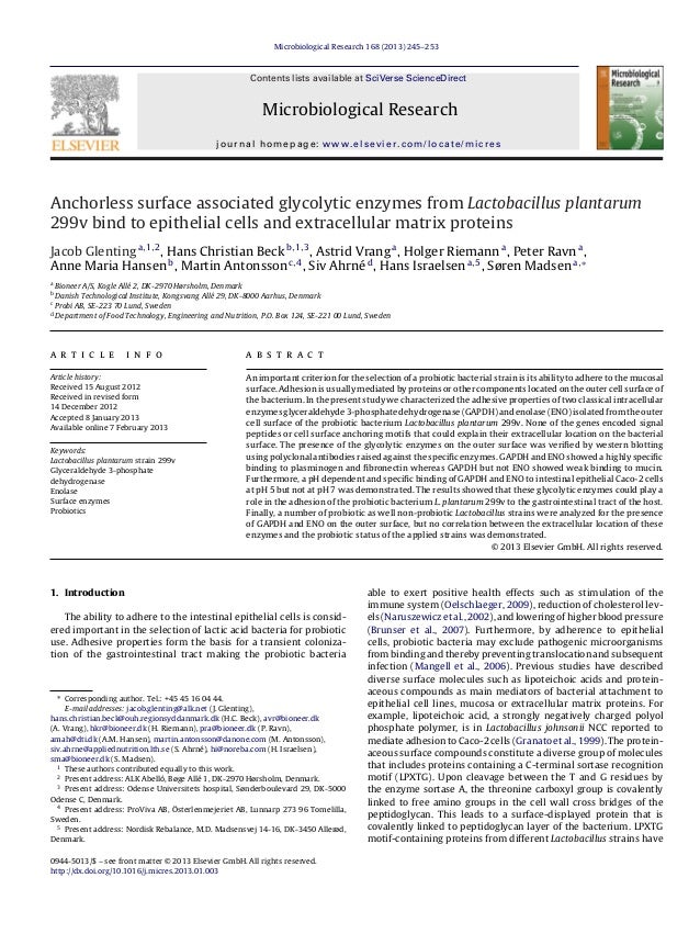 Research on probiotics picture