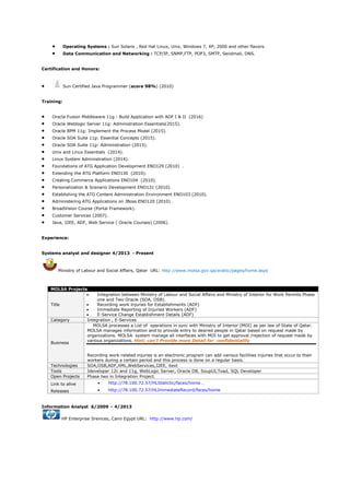 Senior-Java-Programmer-CV | PDF