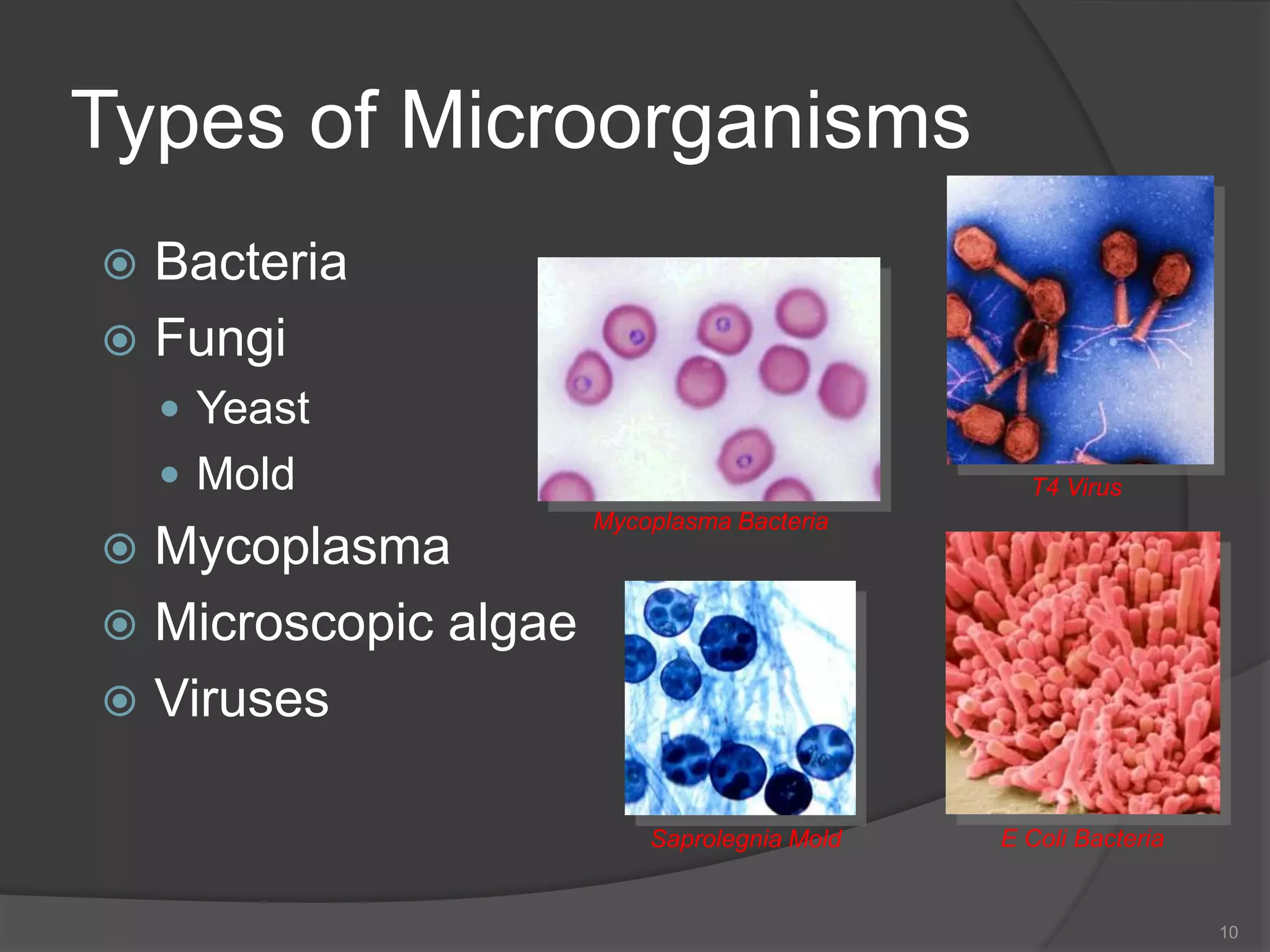 Types of Microorganisms
 Bacteria
 Fungi
 Yeast
 Mold
 Mycoplasma
 Microscopic algae
 Viruses
10
T4 Virus
Mycoplasma Bacteria
Saprolegnia Mold E Coli Bacteria
 