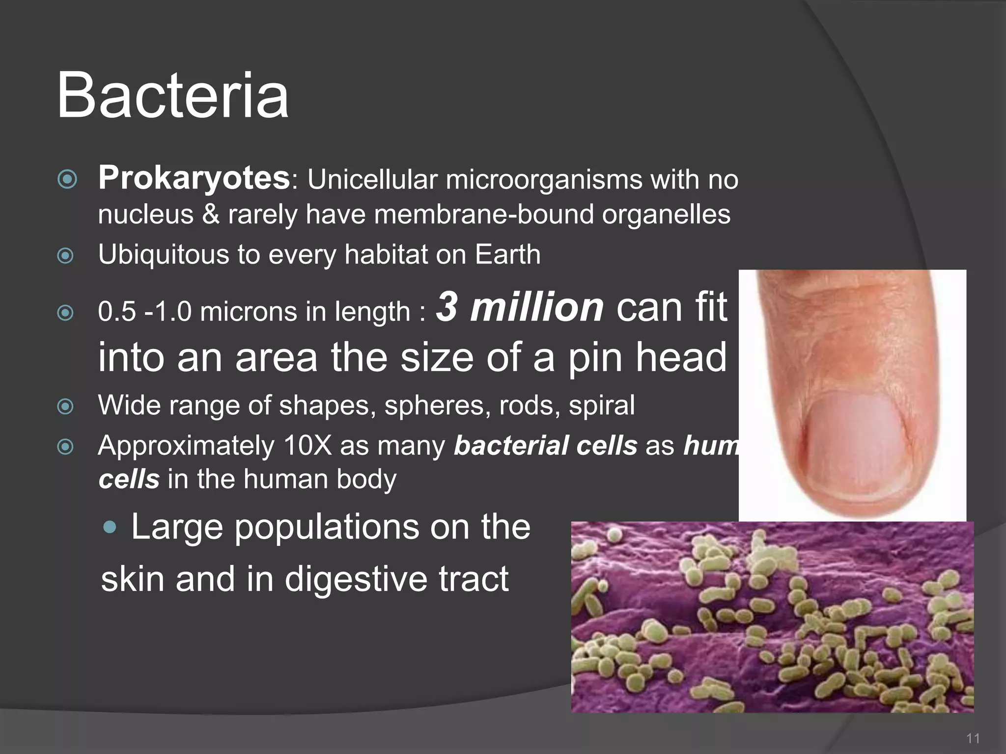 Bacteria
 Prokaryotes: Unicellular microorganisms with no
nucleus & rarely have membrane-bound organelles
 Ubiquitous to every habitat on Earth
 0.5 -1.0 microns in length : 3 million can fit
into an area the size of a pin head
 Wide range of shapes, spheres, rods, spiral
 Approximately 10X as many bacterial cells as human
cells in the human body
 Large populations on the
skin and in digestive tract
11
 