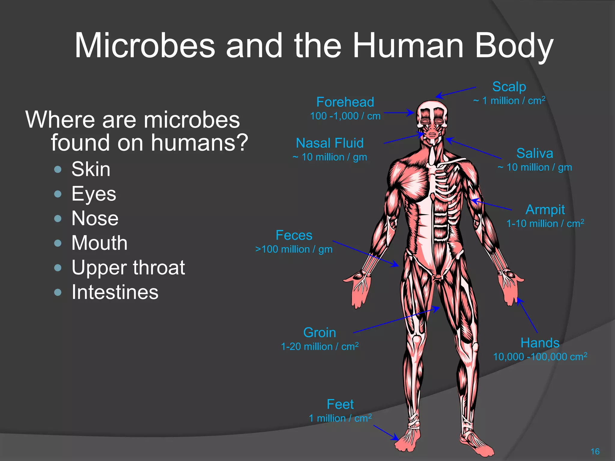 Microbes and the Human Body
Where are microbes
found on humans?
 Skin
 Eyes
 Nose
 Mouth
 Upper throat
 Intestines
16
Hands
10,000 -100,000 cm2
Groin
1-20 million / cm2
Feet
1 million / cm2
Scalp
~ 1 million / cm2
Forehead
100 -1,000 / cm
Saliva
~ 10 million / gm
Nasal Fluid
~ 10 million / gm
Armpit
1-10 million / cm2
Feces
>100 million / gm
 