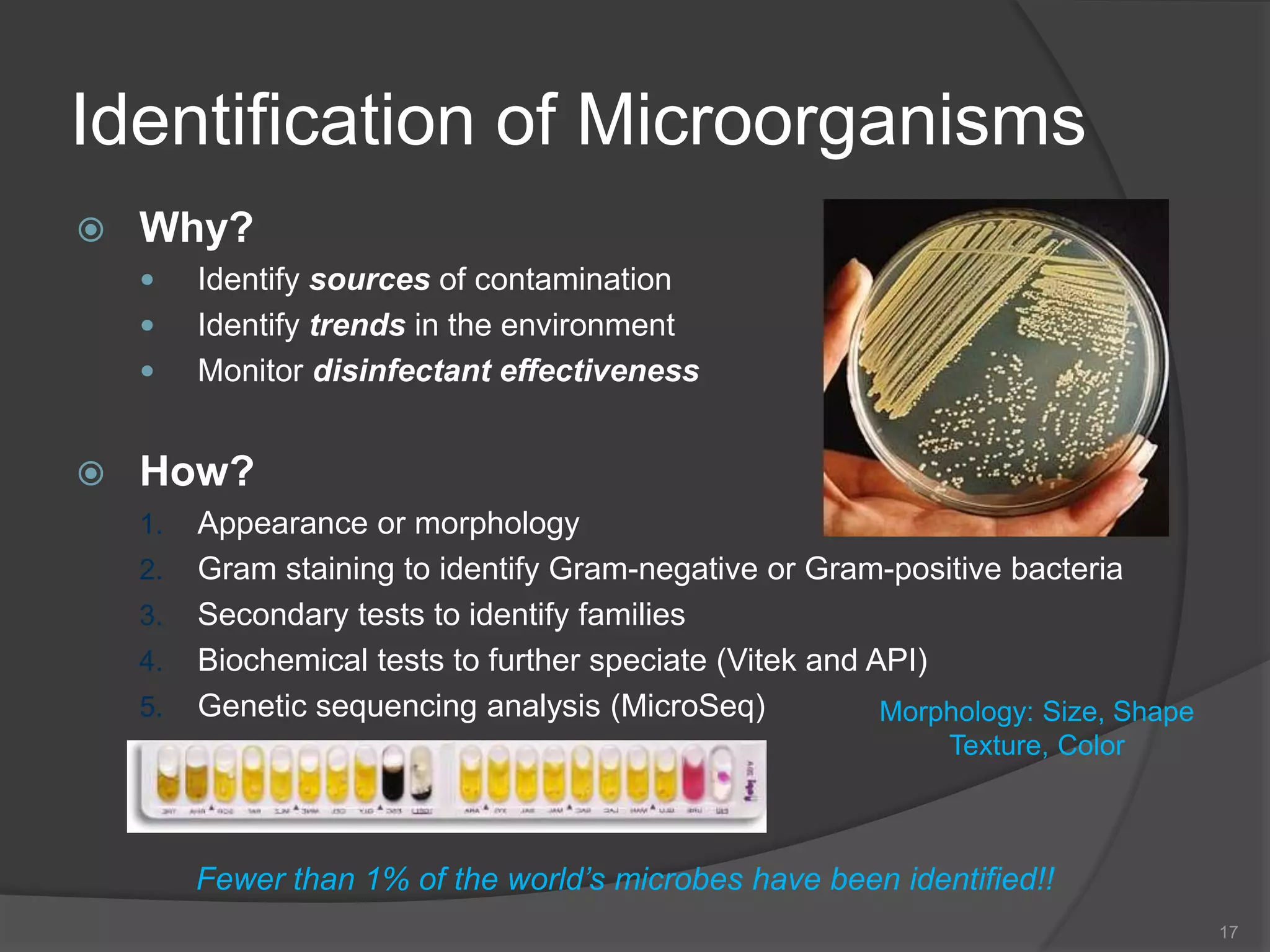 Identification of Microorganisms
 Why?
 Identify sources of contamination
 Identify trends in the environment
 Monitor disinfectant effectiveness
 How?
1. Appearance or morphology
2. Gram staining to identify Gram-negative or Gram-positive bacteria
3. Secondary tests to identify families
4. Biochemical tests to further speciate (Vitek and API)
5. Genetic sequencing analysis (MicroSeq)
17
Fewer than 1% of the world’s microbes have been identified!!
Morphology: Size, Shape
Texture, Color
 
