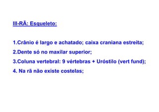 III-RÃ: Esqueleto:


1.Crânio é largo e achatado; caixa craniana estreita;
2.Dente só no maxilar superior;
3.Coluna vertebral: 9 vértebras + Uróstilo (vert fund);
4. Na rã não existe costelas;
 