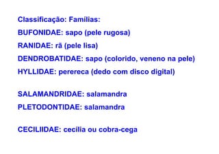 Classificação: Famílias:
BUFONIDAE: sapo (pele rugosa)
RANIDAE: rã (pele lisa)
DENDROBATIDAE: sapo (colorido, veneno na pele)
HYLLIDAE: perereca (dedo com disco digital)


SALAMANDRIDAE: salamandra
PLETODONTIDAE: salamandra


CECILIIDAE: cecília ou cobra-cega
 
