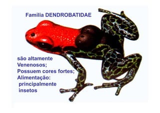 Família DENDROBATIDAE




são altamente
Venenosos;
Possuem cores fortes;
Alimentação:
principalmente
insetos
 