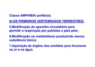 Classe AMPHIBIA (anfíbios)
III-OS PRIMEIROS VERTEBRADOS TERRESTRES:
5.Modificação do aparelho circulatório para
permitir a respiração por pulmões e pela pele;
6.Modificação no metabolismo produzindo menos
substância tóxica;
7.Aquisição de órgãos dos sentidos para funcionar
no ar e na água.
 