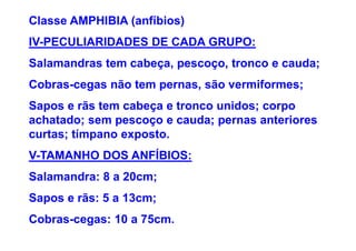 Classe AMPHIBIA (anfíbios)
IV-PECULIARIDADES DE CADA GRUPO:
Salamandras tem cabeça, pescoço, tronco e cauda;
Cobras-cegas não tem pernas, são vermiformes;
Sapos e rãs tem cabeça e tronco unidos; corpo
achatado; sem pescoço e cauda; pernas anteriores
curtas; tímpano exposto.
V-TAMANHO DOS ANFÍBIOS:
Salamandra: 8 a 20cm;
Sapos e rãs: 5 a 13cm;
Cobras-cegas: 10 a 75cm.
 