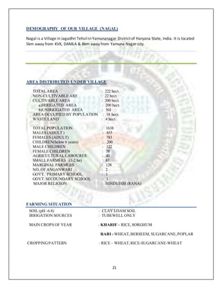 21
DEMOGRAPHY OF OUR VILLAGE (NAGAL)
Nagal is a Village in Jagadhri Tehsil in Yamunanagar District of Haryana State, India. It is located
5km away from KVK, DAMLA & 8km away from Yamuna Nagar city.
AREA DISTRIBUTED UNDER VILLAGE
TOTAL AREA : 222 hect.
NON-CULTIVABLE ARE : 22 hect.
CULTIVABLE AREA : 200 hect.
a)IRRIGATED AREA : 200 hect.
b)UNIRRIGATED AREA : Nil
AREA OCCUPIED BY POPULATION : 18 hect.
WASTE LAND : 4 hect.
TOTAL POPULATION : 1638
MALES (ADULT ) : 855
FEMALES (ADULT) : 783
CHILDREN(below 6 years) : 200
MALE CHILDREN : 122
FEMALE CHILDREN : 78
AGRICULTURAL LABOURES : 40
SMALL FARMERS (1-2 ha) : 87
MARGINAL FARMERS : 128
NO. OF ANGANWARI : 2
GOVT. PRIMARY SCHOOL : 1
GOVT. SECOUNDARY SCHOOL : 1
MAJOR RELIGION : HINDUISM (RANA)
FARMING SITUATION
SOIL (pH -6.8) : CLAY LOAM SOIL
IRRIGATION SOURCES : TUBEWELL ONLY
MAIN CROPS OF YEAR : KHARIF – RICE,SORGHUM
RABI - WHEAT,BERSEEM, SUGARCANE,POPLAR
CROPPINGPATTERN : RICE – WHEAT,RICE-SUGARCANE-WHEAT
 