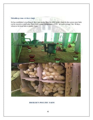42
Sh.kuldeep rana s/o beer singh
He has established a two-floored litter type poultry farm for 4500 broilers birds.In this system more birds
can be reared in a small area.These birds require a temperature of 95F. he earns average 2 lac/ 40 days,
whenever he keep birds in poultry farm
BROILER’S POULTRY FARM
 