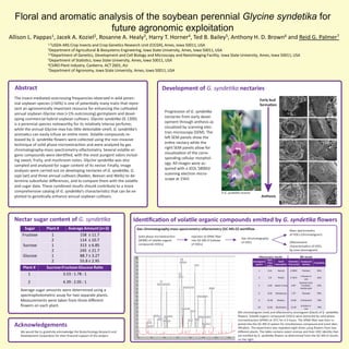 Floral and aromatic analysis of the soybean perennial Glycine syndetika for
future agronomic exploitation
Allison L. Pappas1, Jacek A. Koziel2, Rosanne A. Healy3, Harry T. Horner4, Ted B. Bailey5, Anthony H. D. Brown6 and Reid G. Palmer7
1,7USDA-ARS Crop Insects and Crop Genetics Research Unit (CICGR), Ames, Iowa 50011, USA
2Department of Agricultural & Biosystems Engineering, Iowa State University, Ames, Iowa 50011, USA
3,4Department of Genetics, Development and Cell Biology and Microscopy and NanoImaging Facility, Iowa State University, Ames, Iowa 50011, USA
5Department of Statistics, Iowa State University, Ames, Iowa 50011, USA
6CSIRO Plant Industry, Canberra, ACT 2601, AU
7Department of Agronomy, Iowa State University, Ames, Iowa 50011, USA
Abstract
The insect-mediated outcrossing frequencies observed in wild peren-
nial soybean species (>50%) is one of potentially many traits that repre-
sent an agronomically important resource for enhancing the cultivated
annual soybean Glycine max (<1% outcrossing) germplasm and devel-
oping commercial hybrid soybean cultivars. Glycine syndetika (G 1300)
is a perennial species noteworthy for its relatively intense perfume;
while the annual Glycine max has little detectable smell, G. syndetika’s
aromatics can easily infuse an entire room. Volatile compounds re-
leased by G. syndetika ﬂowers were collected using the non-invasive
technique of solid phase microextraction and were analyzed by gas
chromatography-mass spectrometry-olfactometry. Several volatile or-
ganic compounds were identiﬁed, with the most pungent odors includ-
ing sweet, fruity, and mushroom notes. Glycine syndetika was also
sampled and analyzed for sugar content of its nectar. Finally, image
analyses were carried out on developing nectaries of G. syndetika, G.
soja (wt) and three annual cultivars (Raiden, Beeson and Wells) to de-
termine subcellular diﬀerences, and to compare them with the volatile
and sugar data. These combined results should contribute to a more
comprehensive catalog of G. syndetika’s characteristics that can be ex-
ploited to genetically enhance annual soybean cultivars.
Early bud
formation
Anthesis
Development of G. syndetika nectaries
Progression of G. syndetika
nectaries from early devel-
opment through anthesis as
visualized by scanning elec-
tron microscopy (SEM). The
left SEM panels show the
entire nectary while the
right SEM panels allow for
visualization of the corre-
sponding cellular morphol-
ogy. All images were ac-
quired with a JEOL 5800LV
scanning electron micro-
scope at 15kV.
A G. syndetika raceme
Nectar sugar content of G. syndetika
Sugar Plant # Average Amount (n=3)
Fructose 1
2
158 ± 11.7
114 ± 10.7
Sucrose 1
2
313 ± 6.85
245 ± 21.7
Glucose 1
2
88.7 ± 3.27
55.8 ± 2.95
Plant # Sucrose:Fructose:Glucose Ratio
1 3.53 : 1.78 : 1
2 4.39 : 2.05 : 1
Average sugar amounts were determined using a
spectrophotometric assay for two separate plants.
Measurements were taken from three diﬀerent
ﬂowers on each plant.
Aromagram
peak #
Start
Time
(min)
Smell
Description
Retention
Time (min)
Compound
Identity
Probability
1 2.61 Rancid 2.5903 Pentane 85%
4 5.8 Plastic 5.7672
1-Penten-3-
one
62%
5 6.83 Sweet, Fruity 6.87
Butanoic acid,
2-methyl-,
methyl ester
91%
6 8.04 Herbaceous 7.97 Hexanal 94%
9 12.59 Buttery 12.83 3-Octanone 78%
10 13.01 Mushroom 13.42
6-Octen-2-
one
79%
Identiﬁcation of volatile organic compounds emitted by G. syndetika ﬂowers
Gas chromatography-mass spectrometry-olfactometry (GC-MS-O) workﬂow
Solid-phase microextraction
(SPME) of volatile organic
compounds (VOCs)
Injection of SPME ﬁber
into GC-MS-O (release
of VOCs)
Gas chromatography
of VOCs
Mass spectrometry
of VOCs (chromatogram)
Olfactometric
characterization of VOCs
by nose (aromagram)
MS chromatogram (red) and olfactometry aromagram (black) of G. syndetika
ﬂowers. Volatile organic compounds (VOCs) were extracted by solid phase
microextraction (SPME) at 35o
C for 4.5 hours. The SPME ﬁber was then in-
jected into the GC-MS-O system for simultaneous compound and scent iden-
tiﬁcation. The experiment was repeated eight times using ﬂowers from two
diﬀerent plants. The table contains select aromas and their VOC identity that
are emitted by G. syndetika ﬂowers as determined from the GC-MS-O results
on the right.
Olfactometry results MS results
We would like to gratefully acknowledge the Biotechnology Research and
Development Corporation for their ﬁnancial support of this project.
Acknowledgements
Rancid
Rancid
Solvent
Plastic
Sweet, Fruity
Herbaceous
Grassy
Sweet, Floral
Buttery
Mushroom
Herbaceous, Floral
Sweet, Fruity
Neutral
Fecal
Floral
Neutral
Herbaceous
Herbaceous, Buttery
Unpleasant
Mint
Oatmeal
Time (minutes)
RelativeIntensity
1
4
5
6
9
10
 