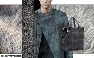 ciemmeci full presentation net