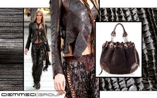 ciemmeci full presentation net