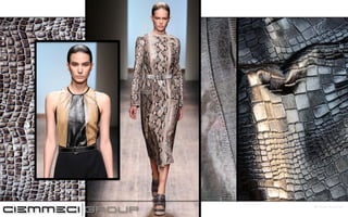 ciemmeci full presentation net