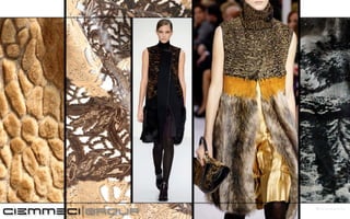 ciemmeci full presentation net