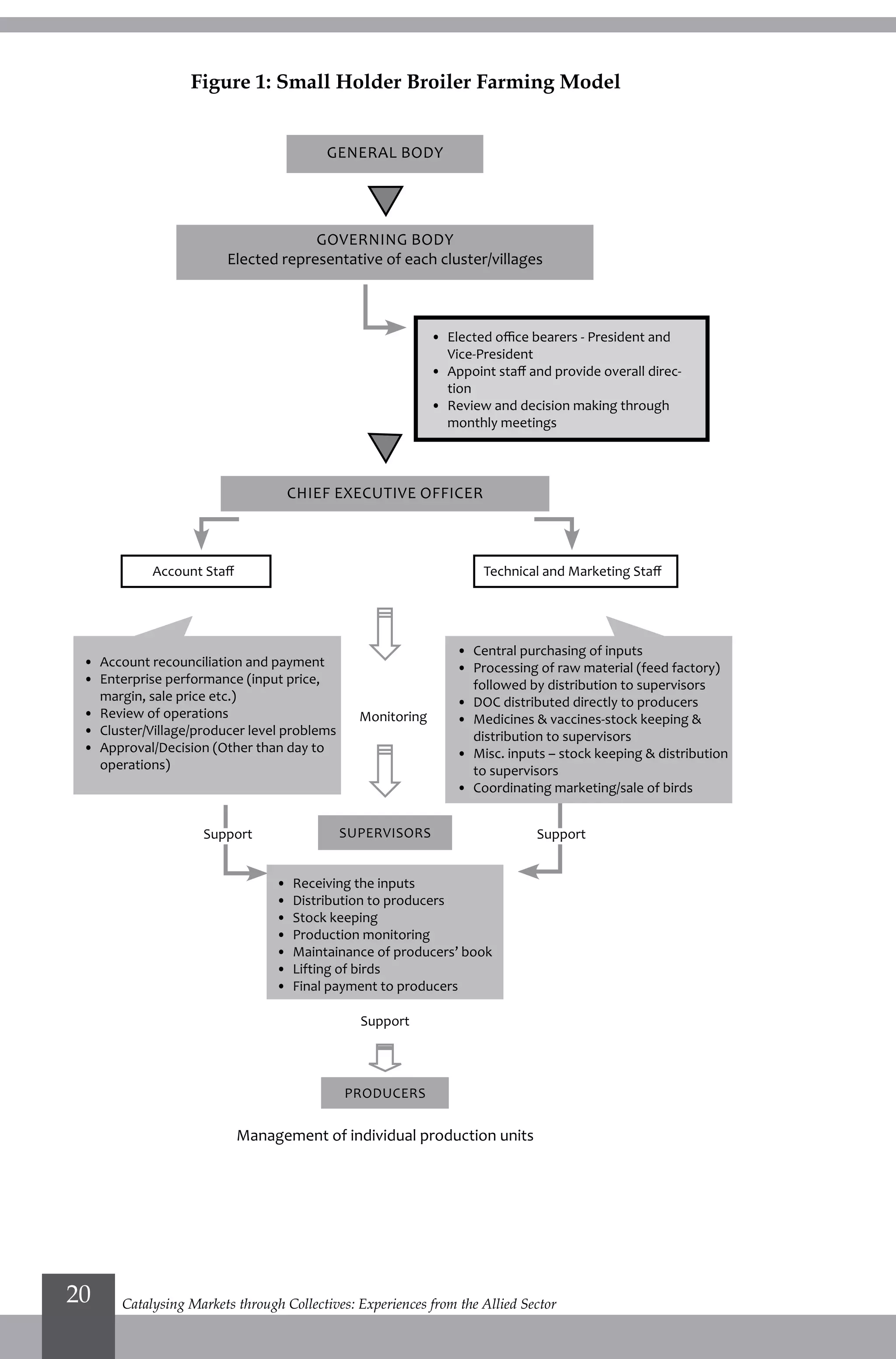 Catalysing Markets through Collectives: Experiences from the Allied Sector20
Figure 1: Small Holder Broiler Farming Model
General Body
Governing Body
Elected representative of each cluster/villages
Chief Executive Officer
• 	Elected office bearers - President and
Vice-President
•	 Appoint staff and provide overall direc-
tion
•	 Review and decision making through
monthly meetings
Account Staff
Monitoring
Support
SupportSupport
Management of individual production units
Supervisors
Producers
Technical and Marketing Staff
•	 Account recounciliation and payment
•	 Enterprise performance (input price,
margin, sale price etc.)
•	 Review of operations
•	 Cluster/Village/producer level problems
•	 Approval/Decision (Other than day to
operations)
•	 Receiving the inputs
•	 Distribution to producers
•	 Stock keeping
•	 Production monitoring
•	 Maintainance of producers’ book
•	 Lifting of birds
•	 Final payment to producers
•	 Central purchasing of inputs
•	 Processing of raw material (feed factory)
followed by distribution to supervisors
•	 DOC distributed directly to producers
•	 Medicines & vaccines-stock keeping &
distribution to supervisors
• 	Misc. inputs – stock keeping & distribution
to supervisors
•	 Coordinating marketing/sale of birds
 