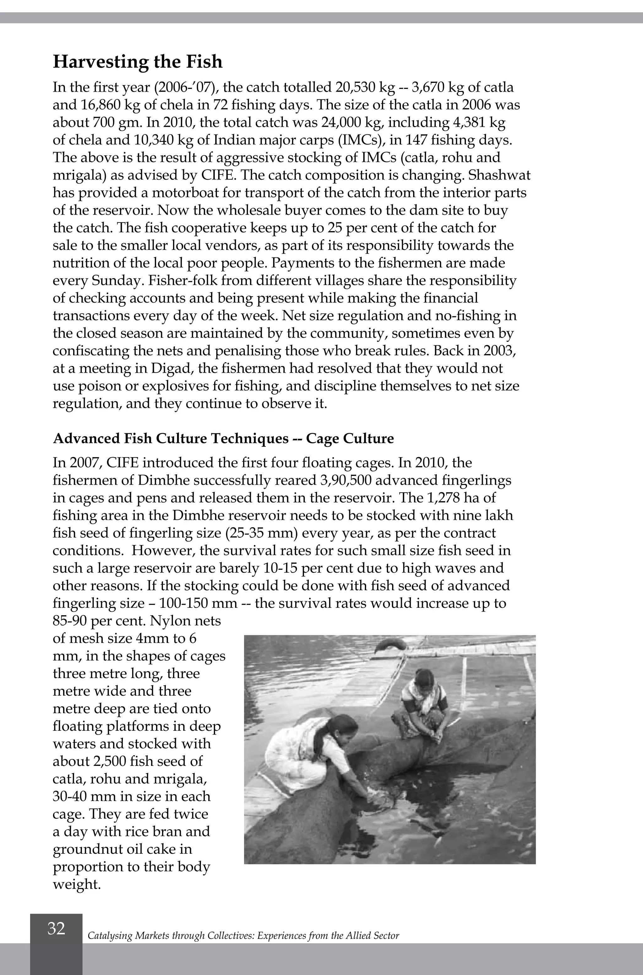 Harvesting the Fish
In the first year (2006-’07), the catch totalled 20,530 kg -- 3,670 kg of catla
and 16,860 kg of chela in 72 fishing days. The size of the catla in 2006 was
about 700 gm. In 2010, the total catch was 24,000 kg, including 4,381 kg
of chela and 10,340 kg of Indian major carps (IMCs), in 147 fishing days.
The above is the result of aggressive stocking of IMCs (catla, rohu and
mrigala) as advised by CIFE. The catch composition is changing. Shashwat
has provided a motorboat for transport of the catch from the interior parts
of the reservoir. Now the wholesale buyer comes to the dam site to buy
the catch. The fish cooperative keeps up to 25 per cent of the catch for
sale to the smaller local vendors, as part of its responsibility towards the
nutrition of the local poor people. Payments to the fishermen are made
every Sunday. Fisher-folk from different villages share the responsibility
of checking accounts and being present while making the financial
transactions every day of the week. Net size regulation and no-fishing in
the closed season are maintained by the community, sometimes even by
confiscating the nets and penalising those who break rules. Back in 2003,
at a meeting in Digad, the fishermen had resolved that they would not
use poison or explosives for fishing, and discipline themselves to net size
regulation, and they continue to observe it.
Advanced Fish Culture Techniques -- Cage Culture
In 2007, CIFE introduced the first four floating cages. In 2010, the
fishermen of Dimbhe successfully reared 3,90,500 advanced fingerlings
in cages and pens and released them in the reservoir. The 1,278 ha of
fishing area in the Dimbhe reservoir needs to be stocked with nine lakh
fish seed of fingerling size (25-35 mm) every year, as per the contract
conditions. However, the survival rates for such small size fish seed in
such a large reservoir are barely 10-15 per cent due to high waves and
other reasons. If the stocking could be done with fish seed of advanced
fingerling size – 100-150 mm -- the survival rates would increase up to
85-90 per cent. Nylon nets
of mesh size 4mm to 6
mm, in the shapes of cages
three metre long, three
metre wide and three
metre deep are tied onto
floating platforms in deep
waters and stocked with
about 2,500 fish seed of
catla, rohu and mrigala,
30-40 mm in size in each
cage. They are fed twice
a day with rice bran and
groundnut oil cake in
proportion to their body
weight.
Catalysing Markets through Collectives: Experiences from the Allied Sector32
 