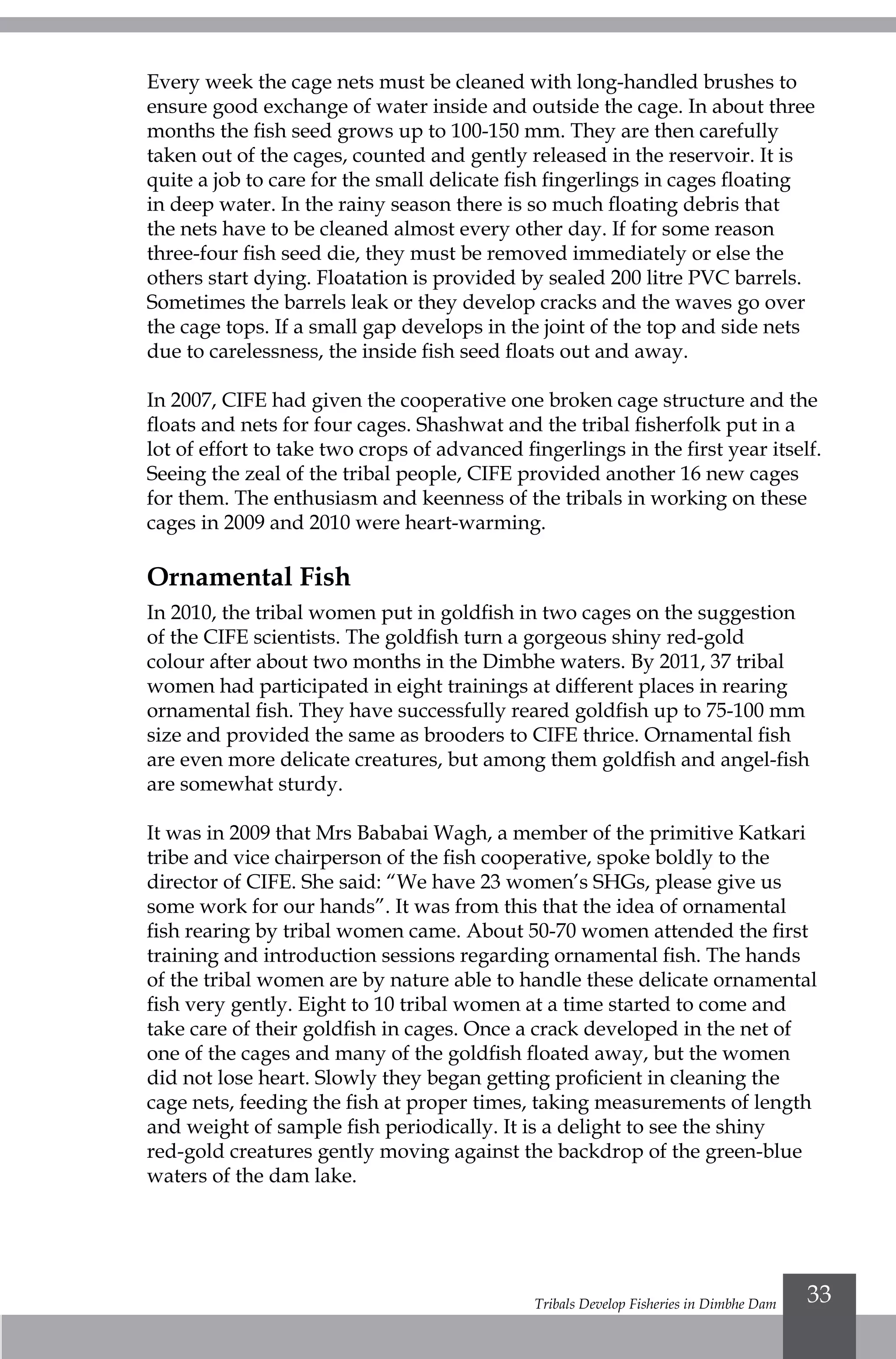 Tribals Develop Fisheries in Dimbhe Dam 33
Every week the cage nets must be cleaned with long-handled brushes to
ensure good exchange of water inside and outside the cage. In about three
months the fish seed grows up to 100-150 mm. They are then carefully
taken out of the cages, counted and gently released in the reservoir. It is
quite a job to care for the small delicate fish fingerlings in cages floating
in deep water. In the rainy season there is so much floating debris that
the nets have to be cleaned almost every other day. If for some reason
three-four fish seed die, they must be removed immediately or else the
others start dying. Floatation is provided by sealed 200 litre PVC barrels.
Sometimes the barrels leak or they develop cracks and the waves go over
the cage tops. If a small gap develops in the joint of the top and side nets
due to carelessness, the inside fish seed floats out and away.
In 2007, CIFE had given the cooperative one broken cage structure and the
floats and nets for four cages. Shashwat and the tribal fisherfolk put in a
lot of effort to take two crops of advanced fingerlings in the first year itself.
Seeing the zeal of the tribal people, CIFE provided another 16 new cages
for them. The enthusiasm and keenness of the tribals in working on these
cages in 2009 and 2010 were heart-warming.
Ornamental Fish
In 2010, the tribal women put in goldfish in two cages on the suggestion
of the CIFE scientists. The goldfish turn a gorgeous shiny red-gold
colour after about two months in the Dimbhe waters. By 2011, 37 tribal
women had participated in eight trainings at different places in rearing
ornamental fish. They have successfully reared goldfish up to 75-100 mm
size and provided the same as brooders to CIFE thrice. Ornamental fish
are even more delicate creatures, but among them goldfish and angel-fish
are somewhat sturdy.
It was in 2009 that Mrs Bababai Wagh, a member of the primitive Katkari
tribe and vice chairperson of the fish cooperative, spoke boldly to the
director of CIFE. She said: “We have 23 women’s SHGs, please give us
some work for our hands”. It was from this that the idea of ornamental
fish rearing by tribal women came. About 50-70 women attended the first
training and introduction sessions regarding ornamental fish. The hands
of the tribal women are by nature able to handle these delicate ornamental
fish very gently. Eight to 10 tribal women at a time started to come and
take care of their goldfish in cages. Once a crack developed in the net of
one of the cages and many of the goldfish floated away, but the women
did not lose heart. Slowly they began getting proficient in cleaning the
cage nets, feeding the fish at proper times, taking measurements of length
and weight of sample fish periodically. It is a delight to see the shiny
red-gold creatures gently moving against the backdrop of the green-blue
waters of the dam lake.
 