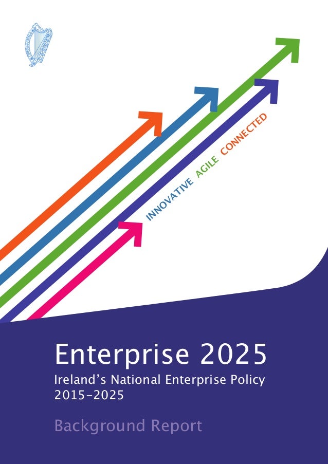 Enterprise2025BackgroundReport