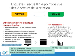 BIEN-ÊTRE ANIMAL : DE LA THÉORIE À LA PRATIQUE
12, 13, 14 DÉCEMBRE 2017, RENNES
Enquêtes : recueillir le point de vue
des 2 acteurs de la relation
Entretien semi-directif et quelques
questions fermées :
- Le métier d’éleveur / Le bon éleveur / Le bon
animal
- L’arrivée des nouveaux outils / La transition
- La part des données et de l’observation visuelle
- Le travail avec les animaux et les outils
- La définition de la relation homme-animal
- L’élevage de précision
et le métier d’éleveur
Test de réactivité :
La réaction de l’animal face à une
personne inconnue témoigne de sa
perception de l’Homme, et de la
relation qu’il entretient avec l’éleveur.
Protocoles de test par espèce
(à partir des protocoles Welfare Quality)
APRÈS CHAQUE ENQUÊTE
- Une monographie par éleveur
- Grille de dépouillement pour analyse de contenu thématique
-Analyse statistique pour recherche de profils
Calcul des moyennes des scores
ANIMALELEVEUR
 