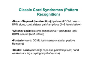 Cord Infarct Pattern A_8_Spinal cord functions classifications.pdf