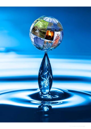 THE AVK GROUP OF COMPANIES | 3
 