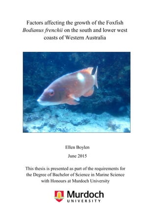 Ellen Boylen
June 2015
This thesis is presented as part of the requirements for
the Degree of Bachelor of Science in Marine Science
with Honours at Murdoch University
Factors affecting the growth of the Foxfish
Bodianus frenchii on the south and lower west
coasts of Western Australia
 