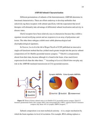 19
AMPAR Subunit Characterization
Different permutations of subunits of the heterotetrameric AMPAR determine its
functional characteristics. There are efforts underway to develop antibodies that
selectively tag these receptors with subunit specificity with the expectation that novel
therapies will ultimately take advantage of differential subunit localization and activity in
disease states.
GluA2 receptors have been relatively easy to characterize because they exhibit a
signature inward rectifying current and are responsive to an array of polyamines and
toxins. The other three subtypes exhibit more subtle pharmacological and
electrophysiological signatures.
In Neuron, Lu et al in the lab of Roger Nicoll at UCSF published an innovative
single-cell knockout method that has yielded much greater insight into the precise subunit
composition at CA1-Shaffer pyramidal neuron synapses. 116
GluA4 is conspicuously
absent from their data, because although it is found in the brain, it has much lower
expression levels than the other three. 117
According to Lu et al, GluA4 does not play any
role in the AMPAR-mediated transmission in CA1 pyramidal neurons.
Figure 15: Dimer of dimer subunit ratios in rat Shaffer-CA1 pyramidal neuron synapses. GluA1/2
tetramers predominate both at the synapse (80%) and extrasynaptically (>90%), whereas GluA2/3 tetramers
compose only about 16% of synaptic AMPA receptors. 118
Subunit composition is no mere technical curiosity – it is a major mechanism by
which the brain regulates its level of excitation. For example, RNA editing replaces a
80%
 