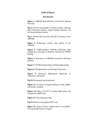 Table of Figures
Introduction
Figure 1: AMPAR Heterotetramer and Generic Subunit
Structure
Fig 2: Electron micrograph of GluA2 tetramer showing
dual N-terminal domains, ligand binding domains, and
the transmembrane domain
Fig 3: Proteins that associate with the C-terminus of the
AMPAR
Figure 4: Preliminary activity state models of the
AMPAR
Figure 5: TARP-mediated AMPAR trafficking from
endoplasmic reticulum to dendrite, followed by PSD95
binding
Figure 6: Schematic of AMPAR associated trafficking
proteins
Figure 7: LTP Recording Setup and Electrophysiology
Figure 8: Phosphorylation and Receptor Dynamics
Figure 9: Suspected Pathological Molecules in
Alzheimer’s Dementia
Fig 10: Perampanel and tezampanel
Figure 11: Locations of ligand binding for both AMPA
and kainate receptors
Figure 12: Effect of CX717 on Sleep Deprivation and
Cognition in DMS Task
Figure 13: Dose-Response Data
Fig 14: Glucose consumption PET scan
Figure 15: Dimer of dimer subunit ratios in rat Shaffer-
CA1 pyramidal neuron synapses
 