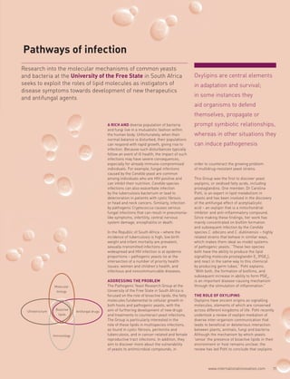 Oxylipins are central elements
in adaptation and survival;
in some instances they
aid organisms to defend
themselves, propagate or
prompt symbiotic relationships,
whereas in other situations they
can induce pathogenesis
A RICH AND diverse population of bacteria
and fungi live in a mutualistic fashion within
the human body. Unfortunately, when their
normal balance is disturbed, their populations
can respond with rapid growth, giving rise to
infection. Because such disturbances typically
follow an event of ill health, the impact of such
infections may have severe consequences,
especially for already immune-compromised
individuals. For example, fungal infections
caused by the Candida yeast are common
among individuals who are HIV-positive and
can inhibit their nutrition. Candida species
infections can also exacerbate infection
by the tuberculosis bacterium or lead to
deterioration in patients with cystic fibrosis
or head and neck cancers. Similarly, infection
by pathogenic Cryptococcus causes serious
fungal infections that can result in pneumonia-
like symptoms, infertility, central nervous
system damage, encephalitis or death.
In the Republic of South Africa – where the
incidence of tuberculosis is high, low birth
weight and infant mortality are prevalent,
sexually-transmitted infections are
widespread and HIV infection is at epidemic
proportions – pathogenic yeasts lie at the
intersection of a number of priority health
issues: women and children’s health, and
infectious and noncommunicable diseases.
ADDRESSING THE PROBLEM
The Pathogenic Yeast Research Group at the
University of the Free State in South Africa is
focused on the role of bioactive lipids, the fatty
molecules fundamental to cellular growth in
both hosts and pathogenic yeasts, with the
aim of furthering development of new drugs
and treatments to counteract yeast infections.
The Group is particularly interested in the
role of these lipids in multispecies infections,
as found in cystic fibrosis, peritonitis and
tuberculosis, and in cancer-related and female
reproductive tract infections. In addition, they
aim to discover more about the vulnerability
of yeasts to antimicrobial compounds, in
order to counteract the growing problem
of multidrug-resistant yeast strains.
This Group was the first to discover yeast
oxylipins, or oxidised fatty acids, including
prostaglandins. One member, Dr Carolina
Pohl, is an expert in lipid metabolism in
yeasts and has been involved in the discovery
of the antifungal effect of acetylsalicylic
acid – an oxylipin that is a mitochondrial
inhibitor and anti-inflammatory compound.
Since making these findings, her work has
mainly concentrated on biofilm formation
and subsequent infection by the Candida
species C. albicans and C. dubliniensis – highly
related strains that behave in similar ways,
which makes them ideal as model systems
of pathogenic yeasts. “These two species
both have the ability to produce the lipid
signalling molecule prostaglandin E2
(PGE2
),
and react in the same way to this chemical
by producing germ tubes,” Pohl explains.
“With both, the formation of biofilms, and
subsequent increase in ability to form PGE2
,
is an important disease-causing mechanism
through the stimulation of inflammation.”
THE ROLE OF OXYLIPINS
Oxylipins have ancient origins as signalling
molecules, elements of which are conserved
across different kingdoms of life. Pohl recently
undertook a review of oxylipin mediation of
diverse inter-organism communication that
leads to beneficial or deleterious interaction:
between plants, animals, fungi and bacteria.
Although the mechanism by which yeasts
‘sense’ the presence of bioactive lipids in their
environment or host remains unclear, the
review has led Pohl to conclude that oxylipins
Research into the molecular mechanisms of common yeasts
and bacteria at the University of the Free State in South Africa
seeks to exploit the roles of lipid molecules as instigators of
disease symptoms towards development of new therapeutics
and antifungal agents
Pathways of infection
Ultrastructure Antifungal drugs
Molecular
biology
Immunology
Bioactive
lipids
www.internationalinnovation.com 71
 