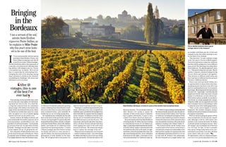 www.countrylife.co.uk www.countrylife.co.uk Country Life, November 12, 2014 6564 Country Life, November 12, 2014
OlimpioFantuz/SIME/4Corners
Bringing
in the
Bordeaux
Pierre Seillan believes that a good
vintage starts in the vineyard
I
t is an unseasonably cold late-spring
morning in Saint-Émilion, France, and
Pierre Seillan is enjoying a rare day off
onhis84-acreestate,ChâteauLassègue.
His furrowed brow adds to the impression of
a man who, even when he isn’t officially work-
ing, still has 1,001 things to sort out. ‘I’m not
a very patient man,’ he admits. ‘We’re on our
way to improving the winemaking here,
changing the style of the farming, paying
closer attention to details in the vineyard,
remodelling the buildings. Life moves fast
and there’s a lot to be done.’
This morning, he was up before 6am, same
as every day and, some nights, he’s still think-
ing about his vines at 2am. It’s a hard life,
a long way removed from the sometimes
glossy image of M. Seillan to be found in the
pages of the international wine press, where
he’s known as a world-class vigneron, a man
who can glance at a row of quietly ageing
barrels and work out the perfect mix.
Atheart,however,M.Seillanisafarmer,and
the intentionally low yield he squeezes out of
his crop remains—as with wheat or corn—the
product of earth and weather. ‘I am basically
a servant of the soil,’ he says with a throaty
chuckle. ‘Oenology can only make a correction
of the original. For me, it’s all about the soil.’
The vineyards of Saint-Émilion form one
of the more lovely parts of Bordeaux, which
comprises some 50 distinct appellations that
are legally allowed to bear the Bordeaux name.
‘I am a servant of the soil,’
admits Saint-Émilion
vigneron Pierre Seillan, as
he explains to Mike Peake
why this year’s wine looks
set to be one of the best
‘After 48
vintages, this is one
of the best I’ve
ever had
’ what we wanted and that we had to buy it.’
Pointing to a small but important hill on the
estate, which gives his vines a magnificent
southerly aspect and affords full sunlight from
dawn until dusk, he explains why they snapped
up the vineyard. ‘In addition to the hill, there
was the soil. It’s beautiful stuff and there are
nine different types across the 84 acres.’ The
icingonthecakewastheageofthevinesthem-
selves, all about 50 years old and with deep
roots tapping into some of the soil’s most
treasured nutrients. ‘My mission has always
been to capture the message of the soil.’
Whenever he’s scoping out a new vineyard
—and he’s worked at many—one of the things
M. Seillan most likes to do is to tear up a clump
of grass and smell it. He does the same to the
leaves on any trees. ‘I’m not trying to discover
their flavour—I’m trying to assess the
intensity of their aroma and it’s a fantastic
way to gather information. It pays to have
a dash of the Native American about you.’
BornandraisednotfarfromSaint-Émilionin
a farming family, M. Seillan has been working
in vineyards since he was 16. At Château Las-
sègue,atypicaldayisdeterminedbytheweather.
It involves admin, regular communication with
thesmallteamwhoworkontheestate,aneagle-
eyed look to check the pruning of his vines, usu-
allyabarreltasting and then, as his colleagues
head home for the night, a new burst of acti-
vity as his associates in California wake up.
M. Seillan’s long-standing relationship with
the Jackson family means he’s also heavily inv-
olved in several of their estates, from Tuscany
to California, including the prestigious Vérité,
which recently chalked up an historic Sonoma
Countyfirstwhensevenofthevineyard’swines
were awarded the maximum 100 points by the
industry’s leading critic Robert Parker Jr.
The Jackson family and M. Seillan seem
a match made in wine heaven, as the former’s
commitment to long-term sustainability of the
land and their passion for making wines that
are individual expressions of their terroir are
in tune with M. Seillan’s own philosophy.
He sees vineyards not as single entities, but
as multiple individual parcels of land and
expands on the idea while drawing in pen
on the back of an envelope.
‘This area here,’ he says, making a rough
circle, ‘let’s say it’s 10 acres of Merlot grapes.
I look at the land and see a slope here and know
that there will be perhaps six or seven different
types of soil. The first thing I do is flag where
theirbordersare.’Hecallsthisapproach‘micro
cru’. ‘This parcel will go into one tank. This lot
another. I separate, instead of taking one big
10-acre block and mixing it all together.
They ferment in different small tanks and
then I put them in different barrels and each
will have a different flavour.’
When I next catch up with M. Seillan, he’s
in a good position to assess what a less-than-
sparkling summer has done to his 2014 crop
and is in a philosophical mood. ‘It is a surpris-
ing vintage. Blooming started in June and was
fastandeven—agoodsign—andthenJulyand
August were humid, rather than warm. Around
August 15 in Bordeaux, we were all nervous.’
With limited options available, he decided to
concentrate on canopy management: manipu-
lating the visible vine (as opposed to its roots)
with techniques such as leaf pulling in order
to make the most of the challenging weather.
‘Then, at the end of August, a miracle
happened. The weather changed, summer
finally arrived and we had good temperatures
throughout September.’
When he started pulling the grapes off the
vines on September 29, the fruit was ‘superb’
and, although it will be 2016 before this
summer’s wine reaches the bottle, M. Seillan
is already quietly toasting its success. ‘After
48 vintages, this is probably one of the best
I’ve ever had,’ he says. ‘It was a reminder
that a great vintage really starts in the vine-
yard and it’s proof that, even after all these
years, there’s still a lot to learn.’
Forinformation,visitwww.chateau-lassegue.
com and www.jacksonfamilywines.com
A collection of relatively small wine-growing
estates radiating from Saint-Émilion itself,
the area is also home to some of the world’s
most acclaimed wines—and, naturally, M.
Seillan has an eye on being among them.
Hecertainlyhasthecredentials,buthasonly
been at the helm of this particular estate for
10 years, having bought it in partnership with
hisgoodfriendJessJackson,thelateco-founder
of Jackson Family Wines, whose wife, Barbara
Banke, now heads one of California’s most
important wine-growing families. ‘I visited
Château Lassègue just twice before I invited
my family and Jess’s to come and see it,’
says M. Seillan, who has been joined by two
generations of both families in the busi-
ness. ‘We all agreed that it was perfect for
Saint-Émilion, Bordeaux, is home to some of the world’s most acclaimed wines
 