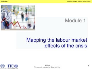 Module 1   Mapping the labour market effects of the crisis 
