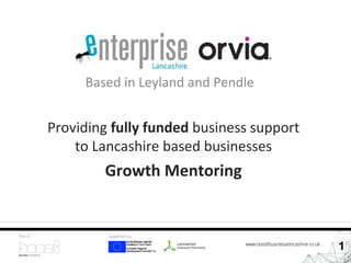 1
Based in Leyland and Pendle
Providing fully funded business support
to Lancashire based businesses
Growth Mentoring
 