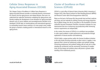 43
Cellular Stress Responses in
Aging-Associated Diseases (CECAD)
The Cologne Cluster of Excellence in Cellular Stress Responses in
Aging-associated Diseases provides an extremely dynamic environment
for research into the aging process and related diseases.Their aim is to
understand the molecular mechanisms underlying the aging process and
thereby enabling the development of new therapies for aging-associated
diseases such as cancer, diabetes and neurodegenerative disorders to be
developed. CECAD takes an interdisciplinary and international approach –
its outstanding research teams working in six main project areas, enable
the group to maintain a leading position in international research on the
aging process.
cecad.uni-koeln.de
Cluster of Excellence on Plant
Sciences (CEPLAS)
CEPLAS is a joint effort of Heinrich Heine University (HHU), University of
Cologne (UoC), Max Planck Institute for Plant Breeding Research (MPIPZ)
and Research Center Jülich (Forschungszentrum Jülich,FZJ).
Plants are the basis of all human life; they provide food and feed, medicine
and drugs, and raw materials for clothing, housing and energy production.
Due to global change, the role of crop plants as the foundation of human
civilisation becomes threatened.Therefore, innovative strategies for crop
improvement that aim at enhancing crop productivity while minimizing
resource requirements are indispensable.
In this context, the mission of CEPLAS is to contribute new paradigms
to solve urgent problems in plant performance and production through
exploitation of natural variation and biodiversity.
CEPLAS holds a unique position within the German Excellence Initiative
as the only cluster focusing exclusively on plant science. It applies a new
approach that is driven by evolutionary analysis and synthetic biology.
Connecting evolutionary and synthetic biology will not only aid in under-
standing the architecture and the mechanistic functioning of complex
traits, but the design and synthetic phase will promot a greater under-
standing of the evolutionary process.
ceplas.eu/en/
 