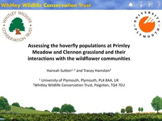 Assessing the hoverfly populations at Primley
Meadow and Clennon grassland and their
interactions with the wildflower communities
Hannah Sutton1, 2 and Tracey Hamston2
1 University of Plymouth, Plymouth, PL4 8AA, UK
2Whitley Wildlife Conservation Trust, Paignton, TQ4 7EU
 