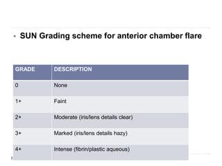  SUN Grading scheme for anterior chamber flare
GRADE DESCRIPTION
0 None
1+ Faint
2+ Moderate (iris/lens details clear)
3+ Marked (iris/lens details hazy)
4+ Intense (fibrin/plastic aqueous)
 