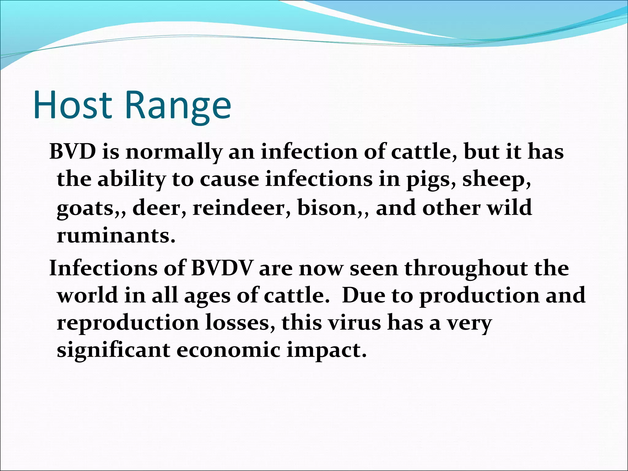 Bovine Viral Diarrhea | PPT
