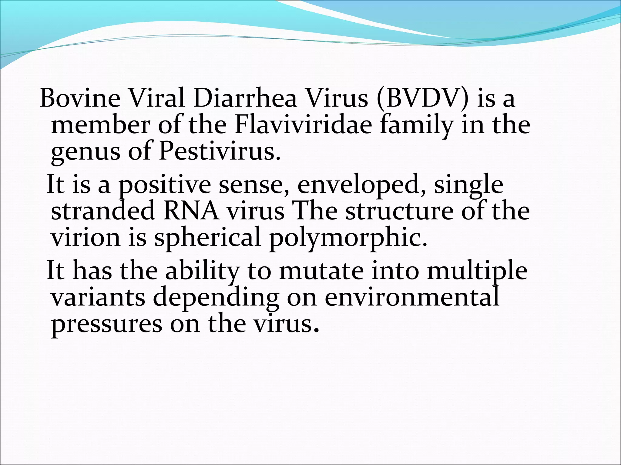 Bovine Viral Diarrhea | PPT