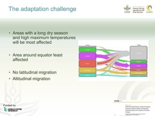 Coffee and climate change