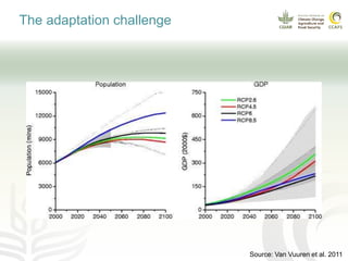 Coffee and climate change
