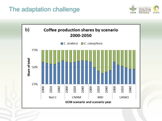Coffee and climate change