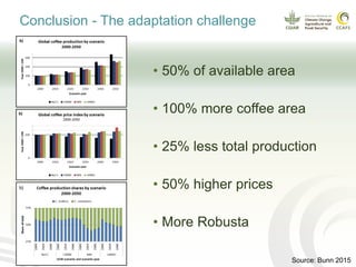 Coffee and climate change