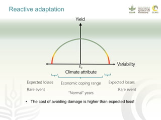 Coffee and climate change